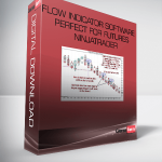 Flow Indicator Software Perfect for Futures Ninjatrader