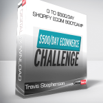 Travis Stephenson – 0 To $500/Day Shopify eCom Bootcamp