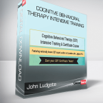 John Ludgate – Cognitive Behavioral Therapy Intensive Training