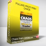 Pulling Profit from Chaos from Justine Williams-lara