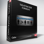 Gabe – The Attraction Formulas