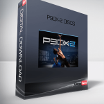 P90X-2 DISCS