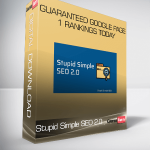 Stupid Simple SEO 2.0 Advanced – Guaranteed Google Page 1 Rankings Today