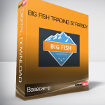 Basecamp – Big Fish Trading Strategy