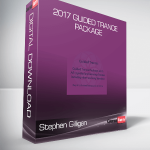 Stephen Gilligan 2017 Guided Trance Package