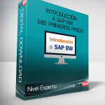 Nivel Experto - Introducción a SAP BW Mis primeros pasos