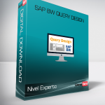 Nivel Experto - SAP BW Query Design