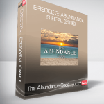 The Abundance Code - Episode 3: Abundance Is Real (2016)