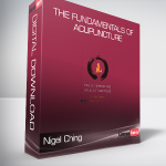 Nigel Ching & Charles Buck - The Fundamentals of Acupuncture