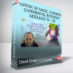 David Crow - Matrix of Magic - 6 - Month Experiential Intensive - Modules 12 - 18