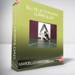 Marcello Monteiro – BJJ Blue to Purple Curriculum