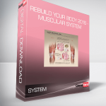 Rebuild Your Body 2016 - Muscular System