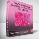 Sara Allen - Shock & Irregular Energies - The Initiate of All Disease