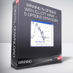 Winning in Options with Elliott Wave + 5 Options Strategies