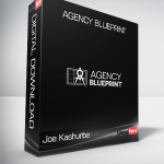 Joe Kashurba - Agency Blueprint