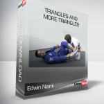 Edwin Najmi - Triangles and More Triangles