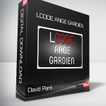 David Paré - Lcode Ange Gardien