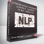 Chris Mulzer - Extended Model for Sensory Channels – Elements of NLP – Module 02