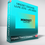 Impact Theory University - Mindset Coaching (June 2019 – Jan 2020)