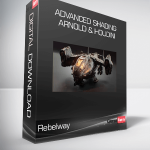 Rebelway – Advanced Shading Arnold & Houdini