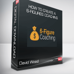 David Wood - How to create a 6-Figures Coaching