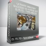 Ultimate Monetary Success V2 4-Stage Set (5.75.7G - Type A/B/C/D)